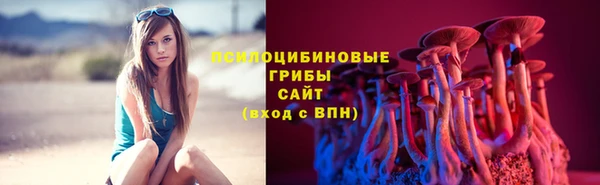 2c-b Балахна