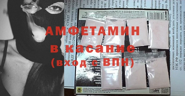 ГАЛЛЮЦИНОГЕННЫЕ ГРИБЫ Осинники