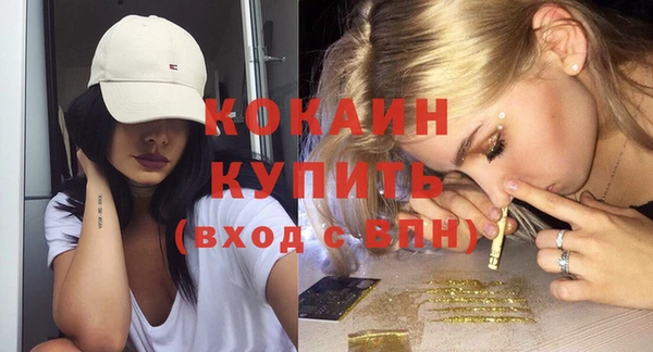 ГАЛЛЮЦИНОГЕННЫЕ ГРИБЫ Осинники