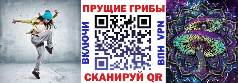 Галлюциногенные грибы Psilocybe  Сосновый Бор 